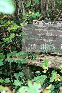 信用卡逾期发信息说要划扣账户 信用卡逾期发信息说要划扣账户