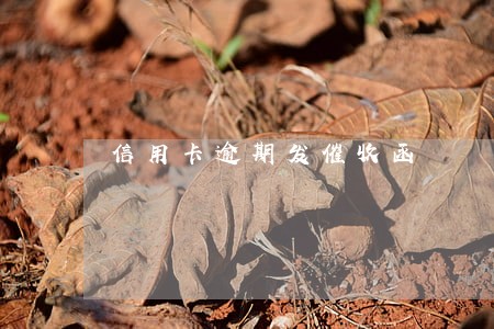 信用卡逾期发催收函 信用卡逾期发催收函