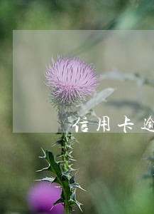 信用卡逾期发几次催收函 信用卡逾期发几次催收函