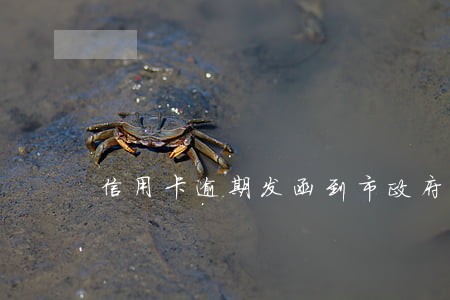 信用卡逾期发函到市政府