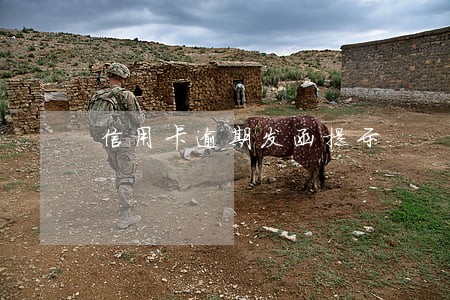 信用卡逾期发函提示