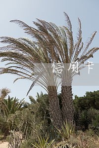 信用卡逾期发刑事函件
