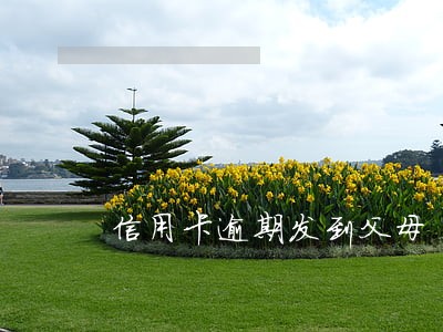 信用卡逾期发到父母 信用卡逾期发到父母