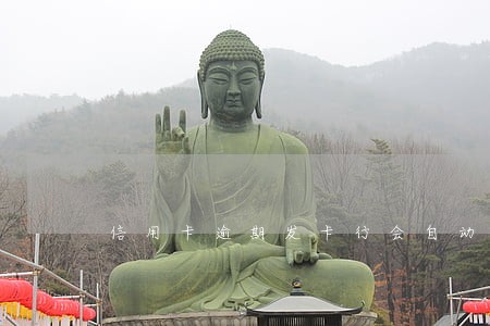 信用卡逾期发卡行会自动扣款 信用卡逾期发卡行会自动扣款