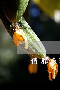 信用卡逾期发完通知函