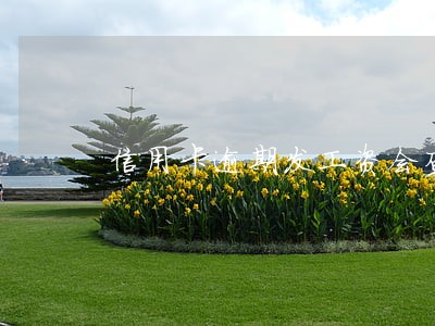 信用卡逾期发工资会查到 信用卡逾期发工资会查到