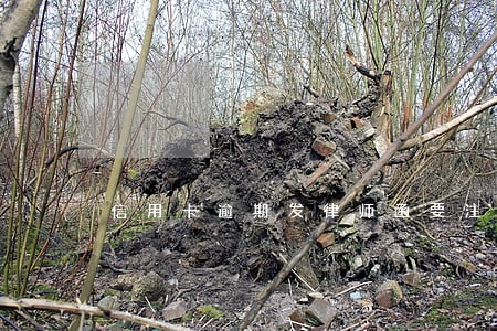 信用卡逾期发律师函要注意 信用卡逾期发律师函要注意