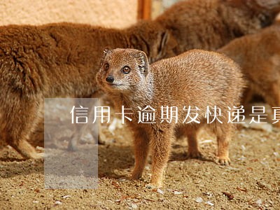 信用卡逾期发快递是真的吗 信用卡逾期发快递是真的吗