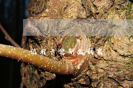 信用卡逾期发报案 信用卡逾期发报案