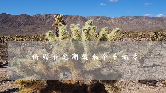 信用卡逾期发来个手机号 信用卡逾期发来个手机号