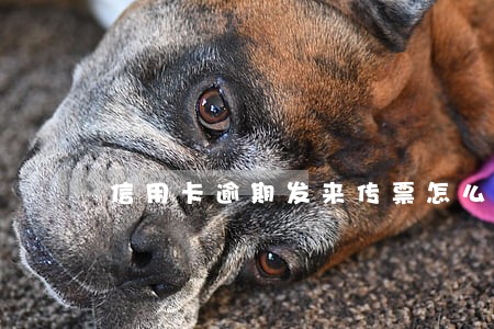 信用卡逾期发来传票怎么看