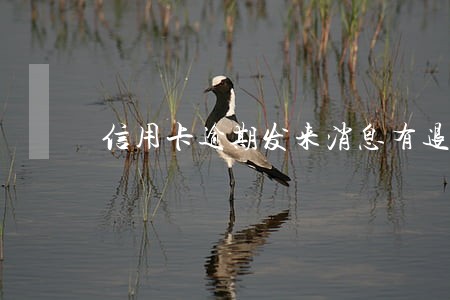 信用卡逾期发来消息有退订字样 信用卡逾期发来消息有退订字样