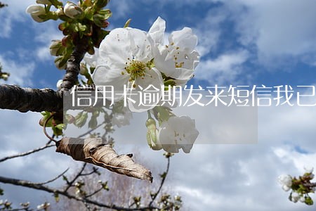 信用卡逾期发来短信我已还款 信用卡逾期发来短信我已还款