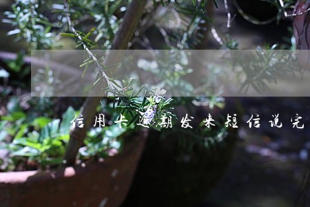 信用卡逾期发来短信说完判刑 信用卡逾期发来短信说完判刑