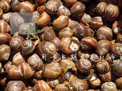 信用卡逾期发来起诉书 信用卡逾期发来起诉书
