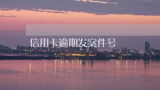 信用卡逾期发案件号 信用卡逾期发案件号