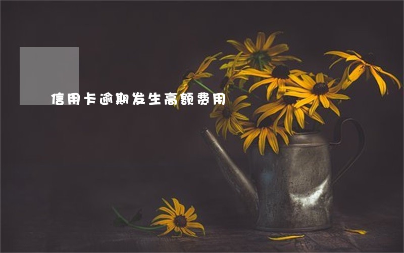 信用卡逾期发生高额费用
