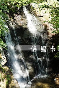 信用卡逾期发的通告函 信用卡逾期发的通告函