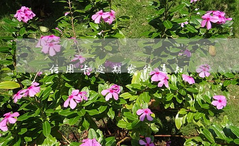 信用卡逾期发的通知 信用卡逾期发的通知