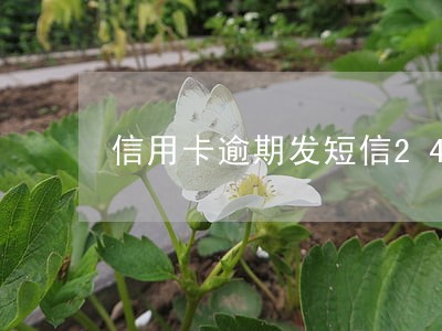 信用卡逾期发短信24小时立案 信用卡逾期发短信24小时立案