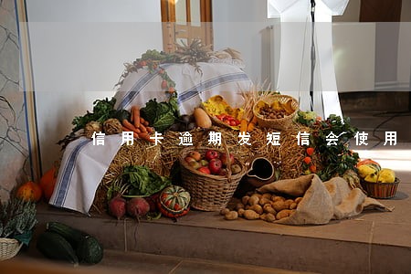 信用卡逾期发短信会使用什么号码 信用卡逾期发短信会使用什么号码