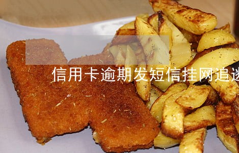 信用卡逾期发短信挂网追逃 信用卡逾期发短信挂网追逃