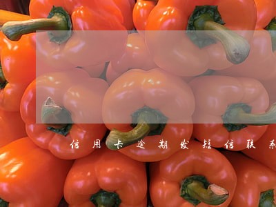 信用卡逾期发短信联系人开庭 信用卡逾期发短信联系人开庭
