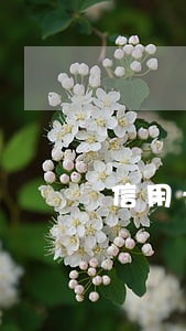 信用卡逾期发短信要抓我 信用卡逾期发短信要抓我