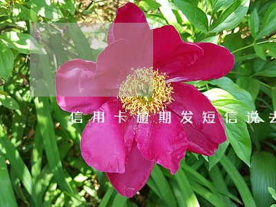 信用卡逾期发短信说去公安局 信用卡逾期发短信说去公安局