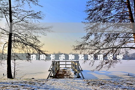 信用卡逾期发短信说明 信用卡逾期发短信说明