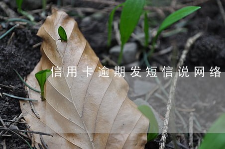 信用卡逾期发短信说网络公布 信用卡逾期发短信说网络公布