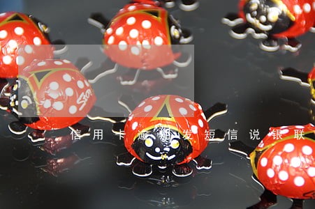 信用卡逾期发短信说银联黑名单 信用卡逾期发短信说银联黑名单