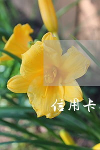 信用卡逾期发短信通知开庭