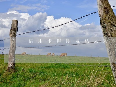 信用卡逾期发私人短信通知
