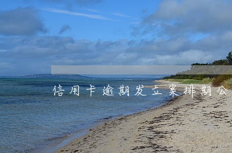 信用卡逾期发立案排期公告 信用卡逾期发立案排期公告