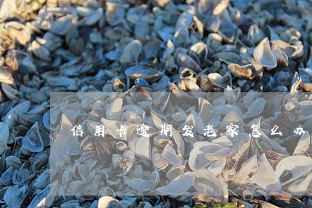 信用卡逾期发老家怎么办