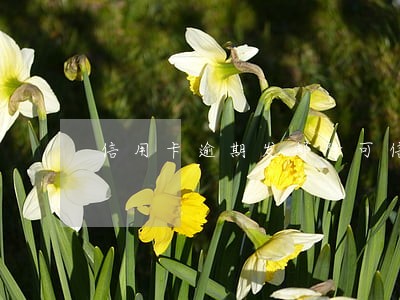 信用卡逾期发邮件可信吗