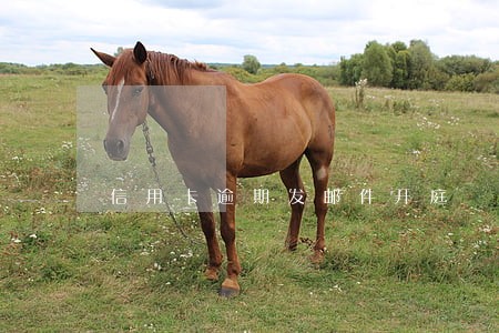 信用卡逾期发邮件开庭 信用卡逾期发邮件开庭