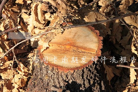 信用卡逾期发邮件流程告知 信用卡逾期发邮件流程告知