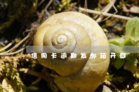 信用卡逾期发邮箱开庭 信用卡逾期发邮箱开庭