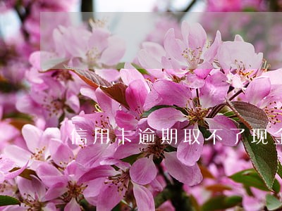 信用卡逾期取不了现金 信用卡逾期取不了现金