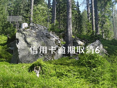 信用卡逾期取消6 信用卡逾期取消6