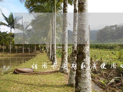信用卡逾期取消使用吗 信用卡逾期取消使用吗