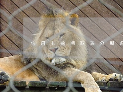 信用卡逾期取消分期吗 信用卡逾期取消分期吗
