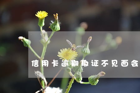 信用卡逾期取证不见面会怎么样 信用卡逾期取证不见面会怎么样
