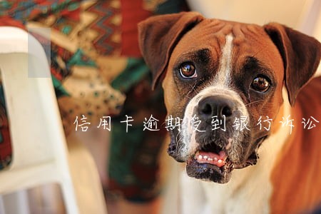 信用卡逾期受到银行诉讼 信用卡逾期受到银行诉讼