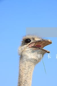 信用卡逾期受理法院 信用卡逾期受理法院