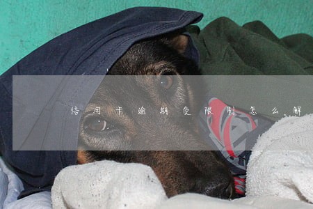 信用卡逾期受限制怎么解决 信用卡逾期受限制怎么解决
