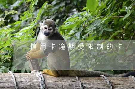 信用卡逾期受限制的卡 信用卡逾期受限制的卡