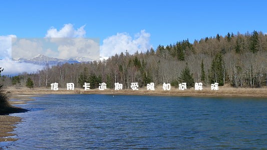 信用卡逾期受限如何解除